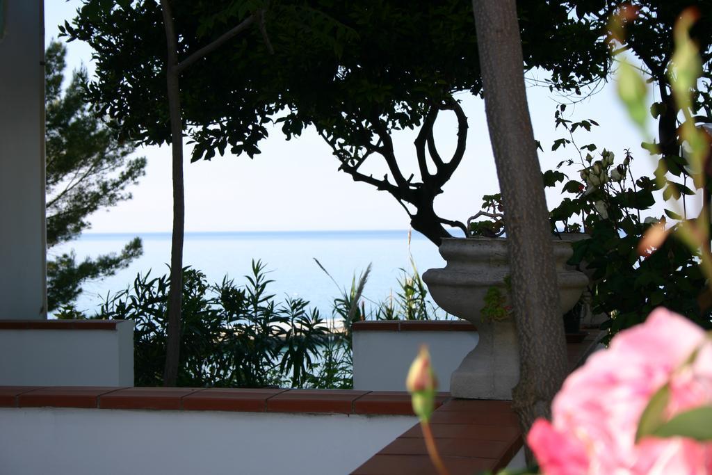 Hotel Piccolo Paradiso Di Rodi Garganico Εξωτερικό φωτογραφία